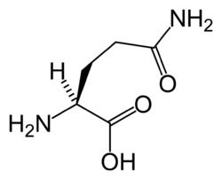 I-Glutamine Energy Supplement