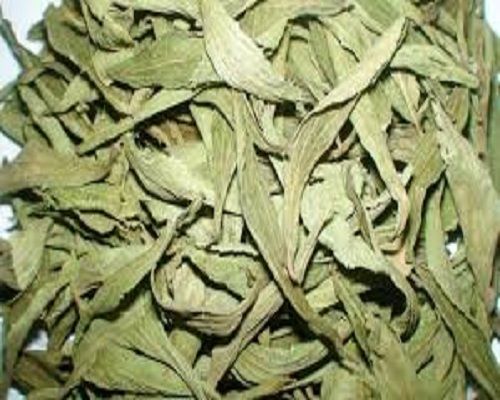 Stevia Leaves Dry