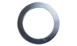 Tanged Metal Reinforced Graphite Gasket