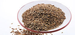 Cumin Seed