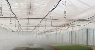 Fogging System