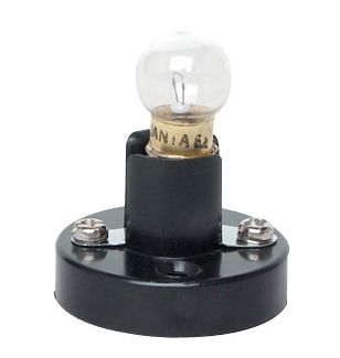 Bulb With Lamp Socket