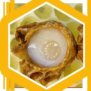 Royal Jelly