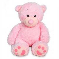 Huggable Cute n Big Soft Toy Teddy