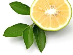 High Grade Bergamot Oil