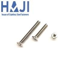 Ss Csk Phillips Screw