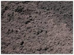 Organic Fertilizer