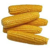 Yellow Corn