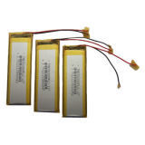 Lithium-Ion Polymer Batteries