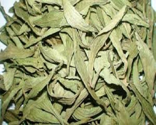 stevia dry leaves