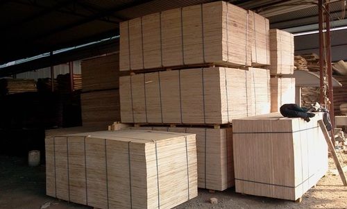 Plywood From Vietnam