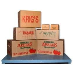 Printed Corrugated Boxes - Advanced Material, Custom Shapes & Sizes | Ideal for Medicines, Cosmetics, and Food Packaging