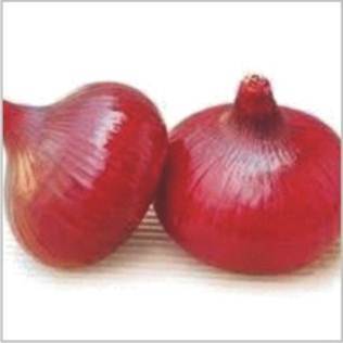 Finest Grade Onion Seeds