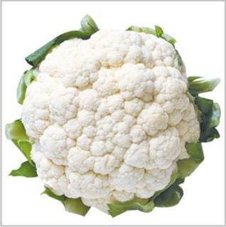 High Grade Cauliflower Seed