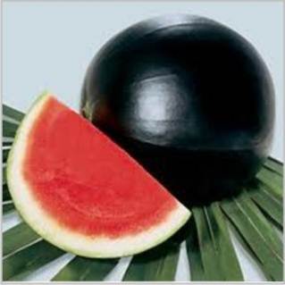 Watermelon Seed