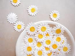 Papermade Daisy Flower