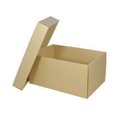 Corrugated Shoe Box