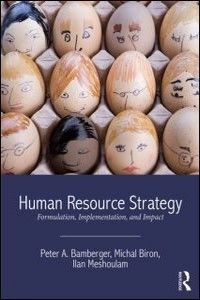 Human Resource Strategy, Formulation, Implementation, and Impact, 2/Ed Book