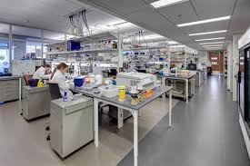 Laboratory Set Up Consultancy Services By TECHNOMODE PVT. LTD.