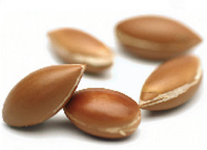 Argan Oil