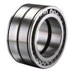 Double Row Cylindrical Bearings