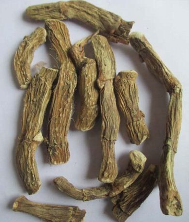 Dried Acorus Calamus