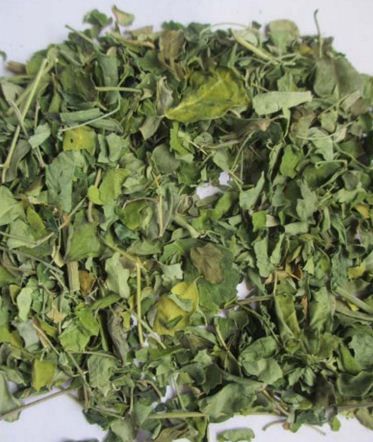 Dried Moringa Oleifera Leaves