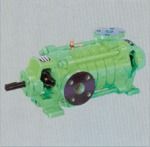 Multistage Ring Section Pump