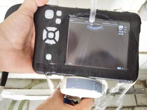 Veterinary Handheld Ultrasound Scanner