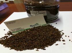 Cassia Tora Seed - Bold and Shiny Small Seeds, Duly Machine Cleaned with Safe Packing for Export