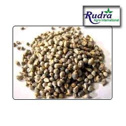 Millet (Animal Feed)