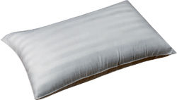 Foam Pillow