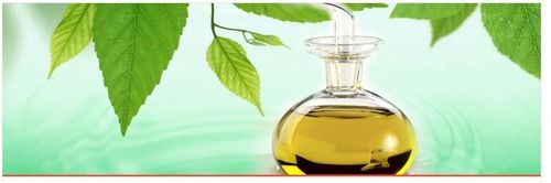 Neem Oil