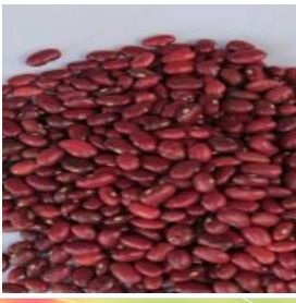 Red Kidney Beans