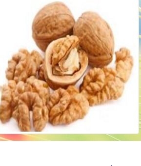 Walnut