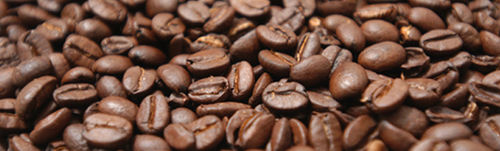 Coffee Bean - High Purity Organic Beans | Grown Without Pesticides, Freshness Guaranteed