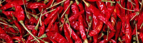 Red Chilli 