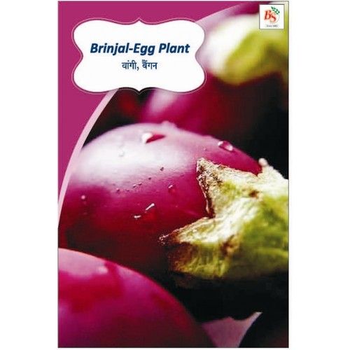 Brinjal-Egg Plant Kichen Garden Packet