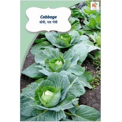 Cabbage Kichen Garden Packets