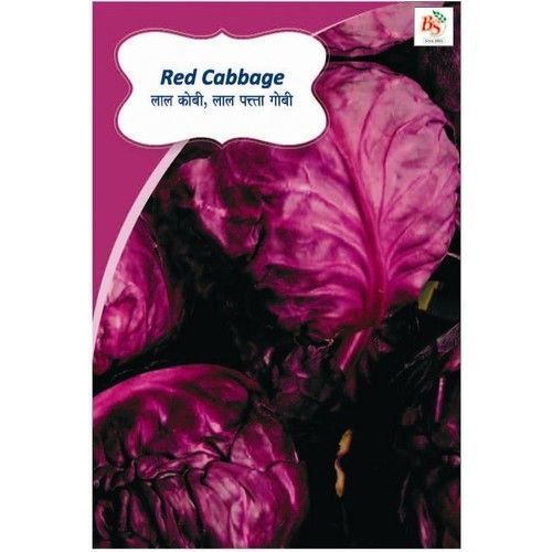 Cabbage Red Kichen Garden Package