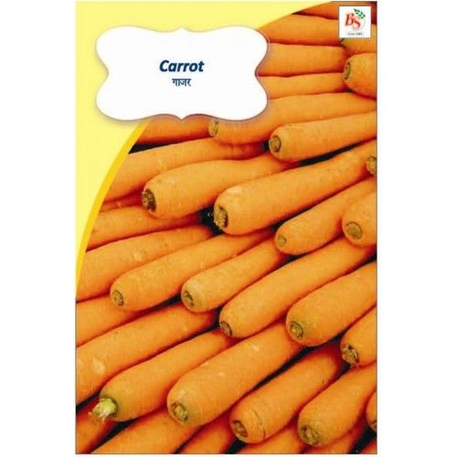 Carrot Kichen Garden Packet