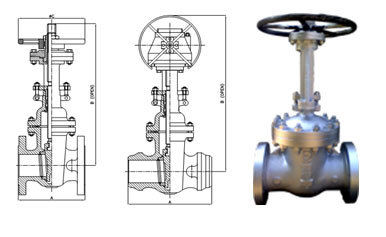 Cast Steel Gate Valve