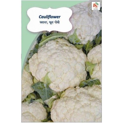 Cauliflower Kichen Garden Packet