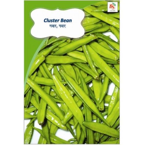Cluster Bean Kichen Garden Packet