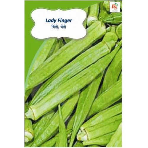 Lady Finger