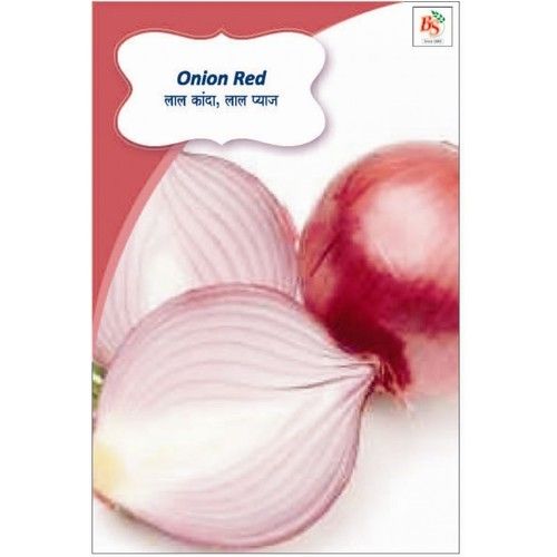 Onion Red Seeds