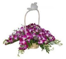 Purple Orchid In Handle Basket