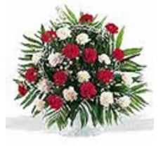 Red And White Carnation In Basket