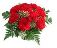 Red Carnation In Basket