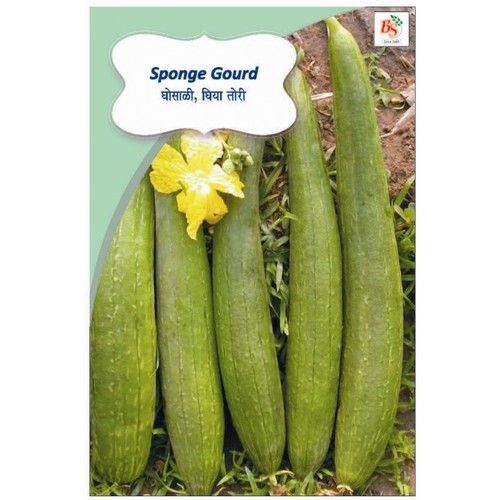 Sponge Gourd Seeds